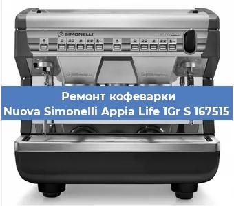 Чистка кофемашины Nuova Simonelli Appia Life 1Gr S 167515 от накипи в Красноярске